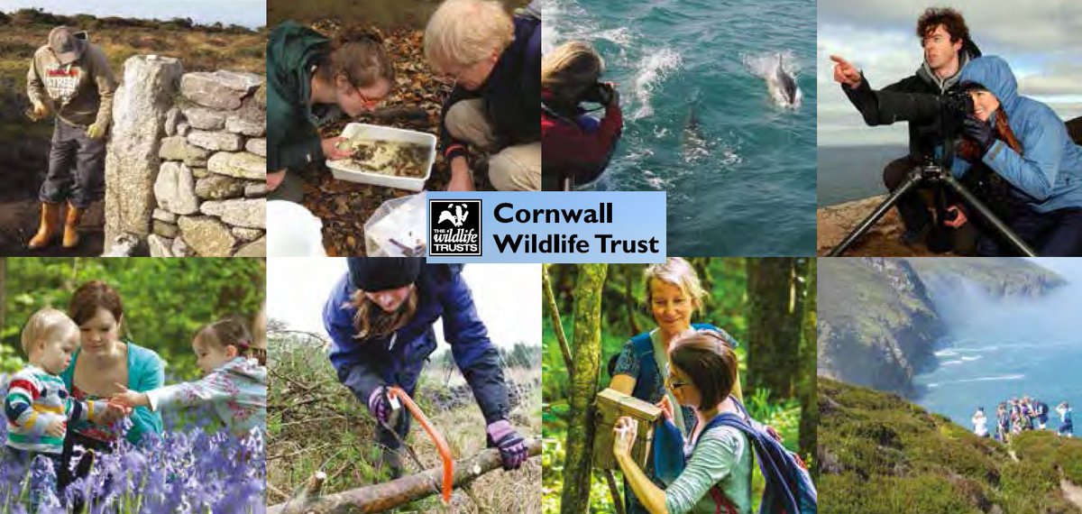 If the leaks are true, #G7summit will be held in #Cornwall in June 🥐🥐🥐 

A great opportunity to show the world the amazing work underway by @CwallWildlife, our partners and local communities to bring nature back and tackle #climatechange in #CORNWALL AND beyond...

🌍💚🐳🐾