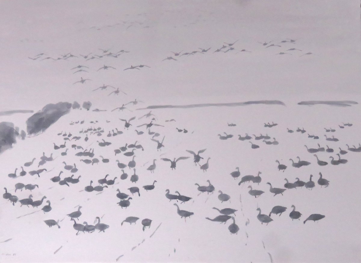 JamesRMcCallum1's tweet photo. Local Norfolk Landscape this morning with snow and Pinkfeet https://t.co/zvXJM4nr5x