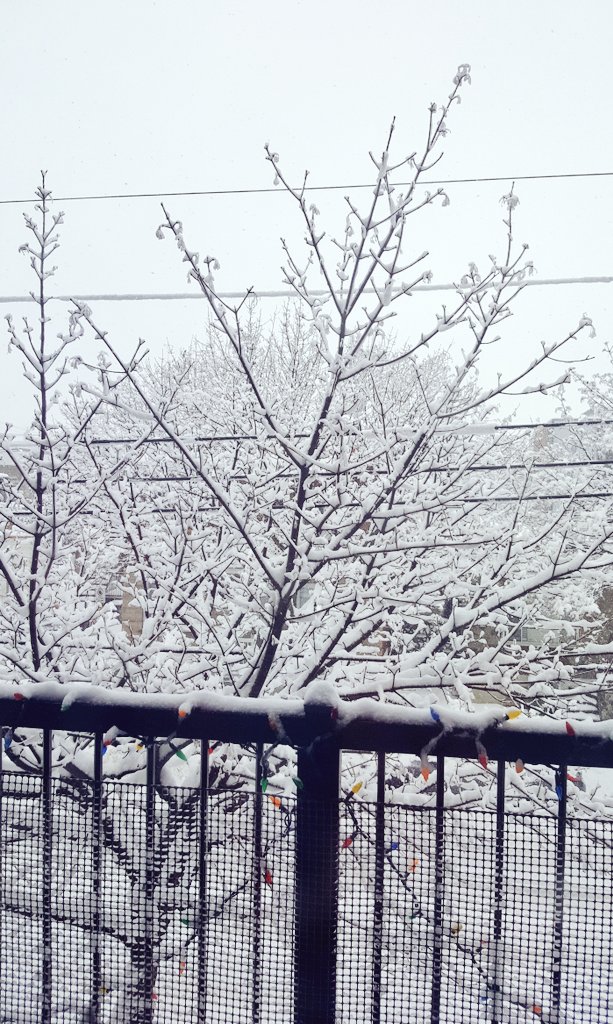 Winter~❄? 
