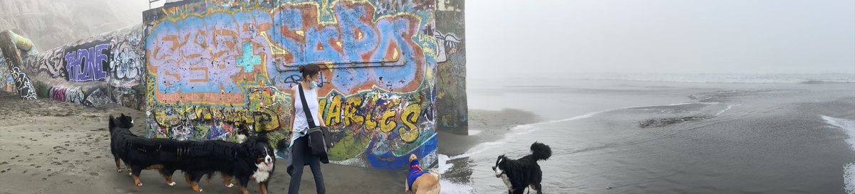 PheoSurgeon's tweet photo. Celebrating Deb Stein with a distanced walk at #FortFunston with a verrry long puppy 😜 in tow. #SurgicalDogs https://t.co/uLaLUu4gv6