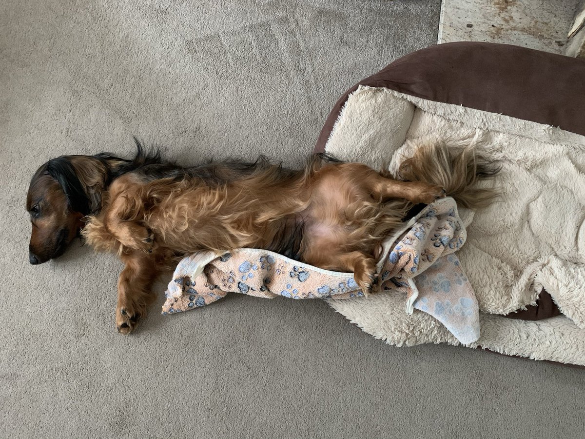 Trevor Simpson tweet media