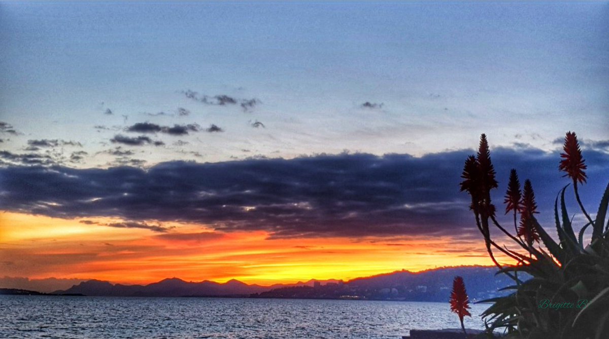 BrigitteB55's tweet photo. Juan-les-Pins ce soir #sunset 
Belle et douce nuit 😴
#MagnifiqueFrance #FranceMagique @so_tourisme #BaladeSympa https://t.co/ZN7hK5bPN6