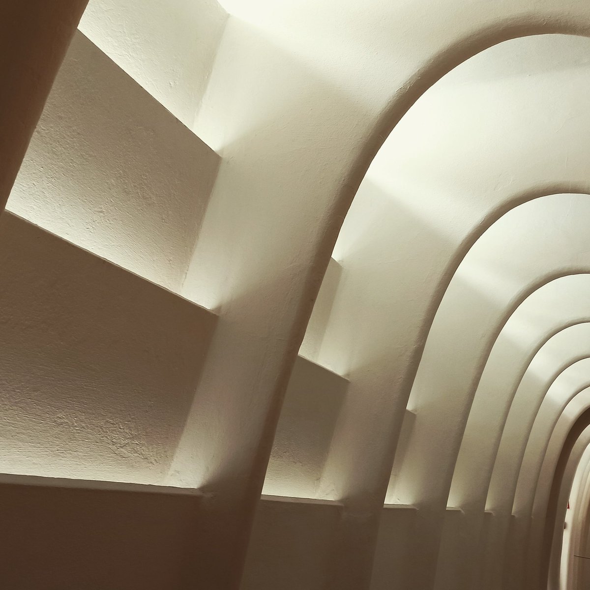 elia_gm24's tweet photo. Prespectiva

#fotografía #arquitectura #casabatllo https://t.co/fBHzU0uXJz