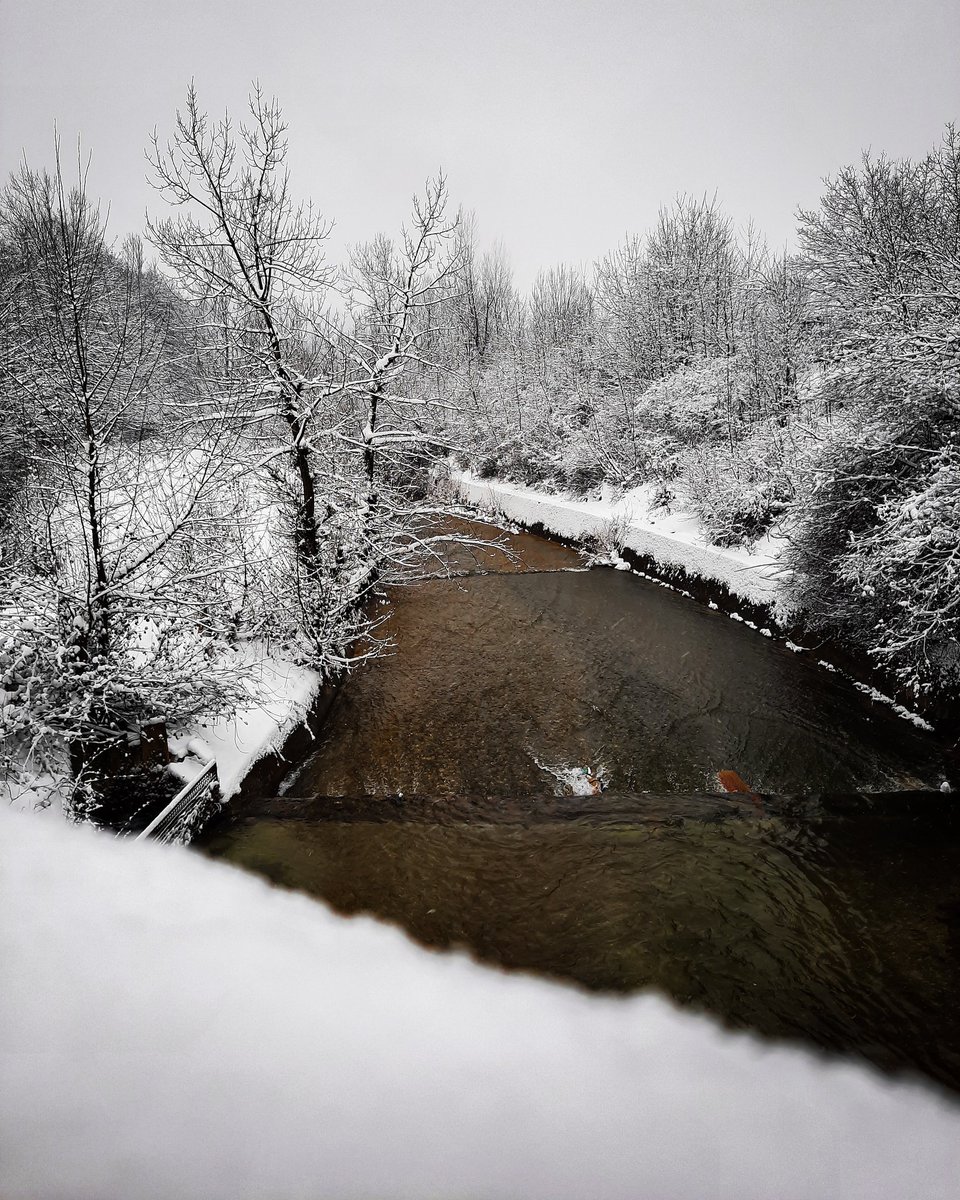 MustafaSpahiic's tweet photo. Snow+river=beautiful😍
#WINTER #winterph #winterphoto #winterphotography #River #riverphoto #riverphotography #photography #photographer #photo #PHOTOS #nature #landscapephotography #landscape #landscapelovers https://t.co/aGjC4iRYRf