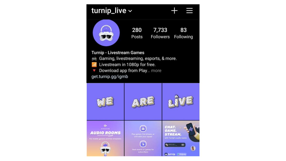 Turnip.gg tweet media