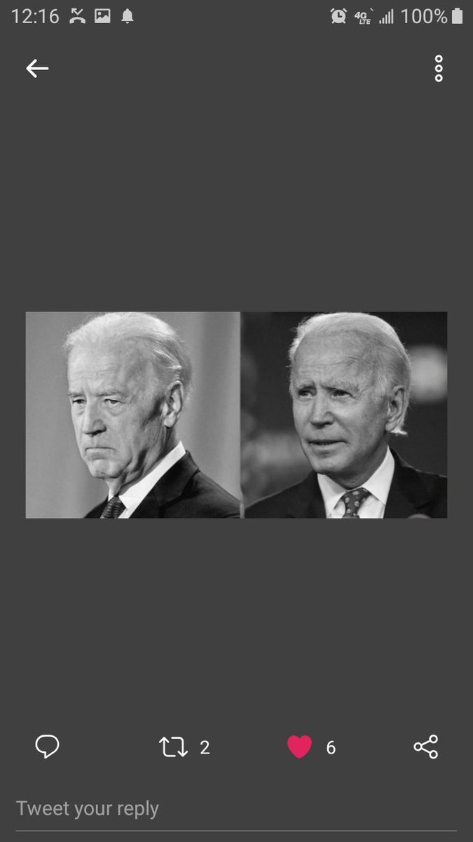 friknwikid's tweet image. #TRUMPSARA