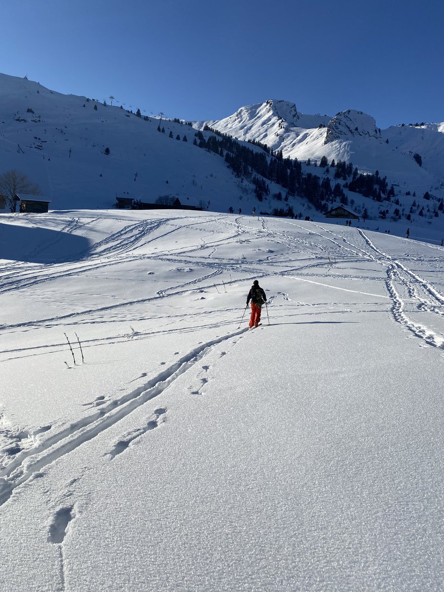 NancyHaaz1's tweet photo. How it started...how it is going #ski2021 #WalkThatWalk #CovidLife https://t.co/gLZvH3SCm6