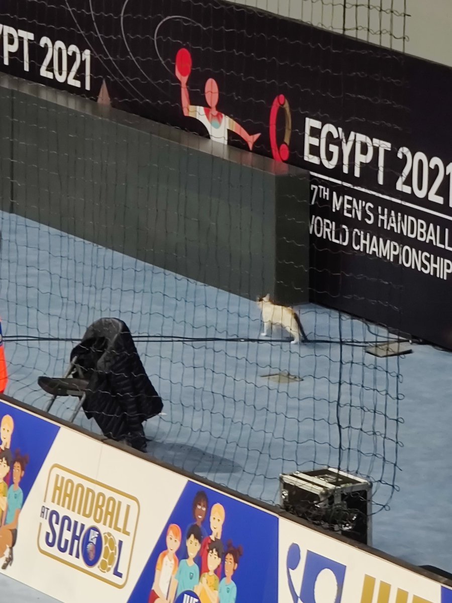 Arnaud Valadon tweet media