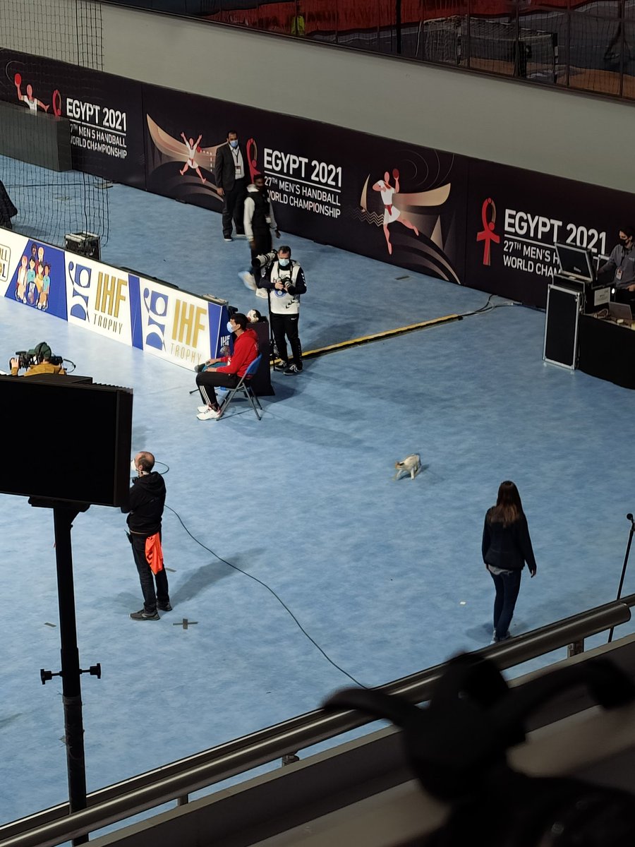 Arnaud Valadon tweet media