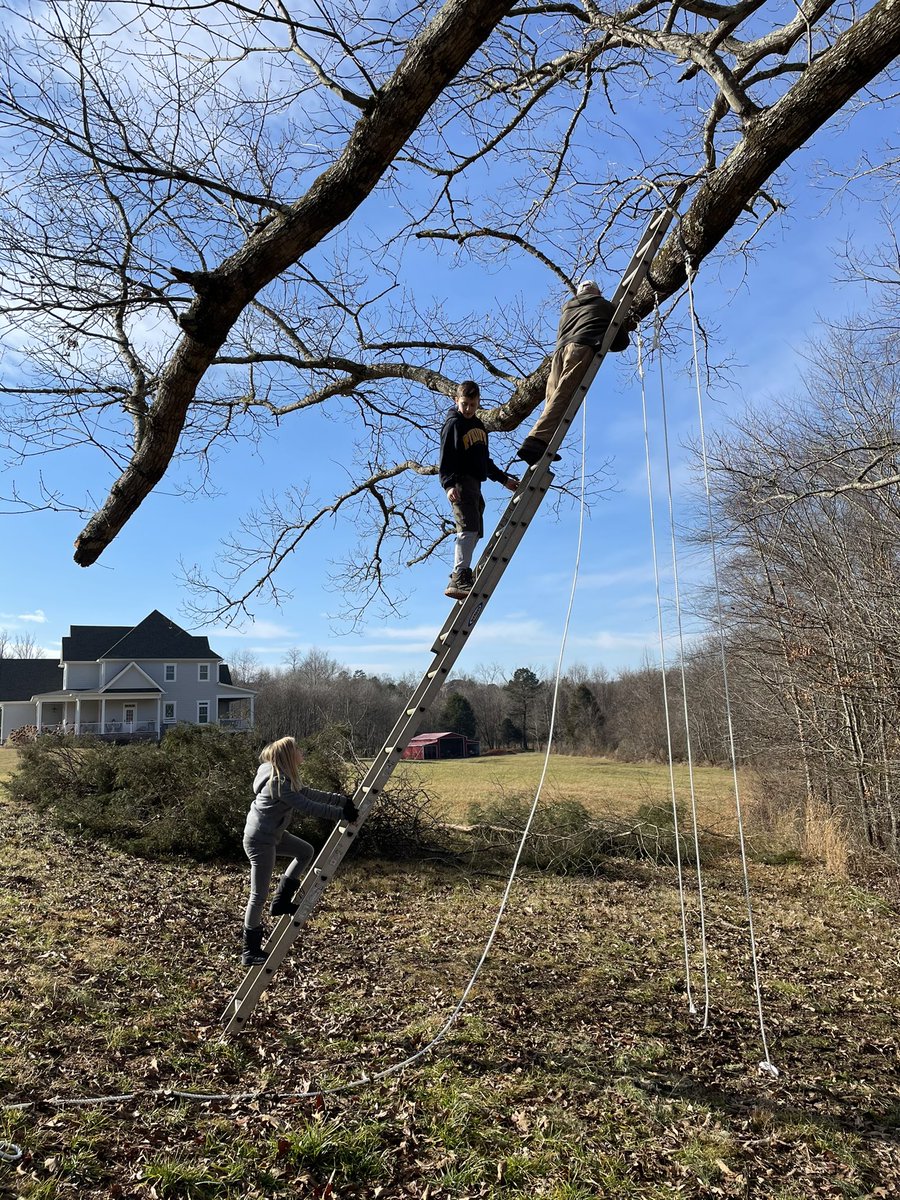 DustinDavisLBC's tweet photo. What an awesome day with wife, kiddos, and Papaw Gouge!!! Finally have swings in the old Oak Tree!!! https://t.co/v985lgxza2