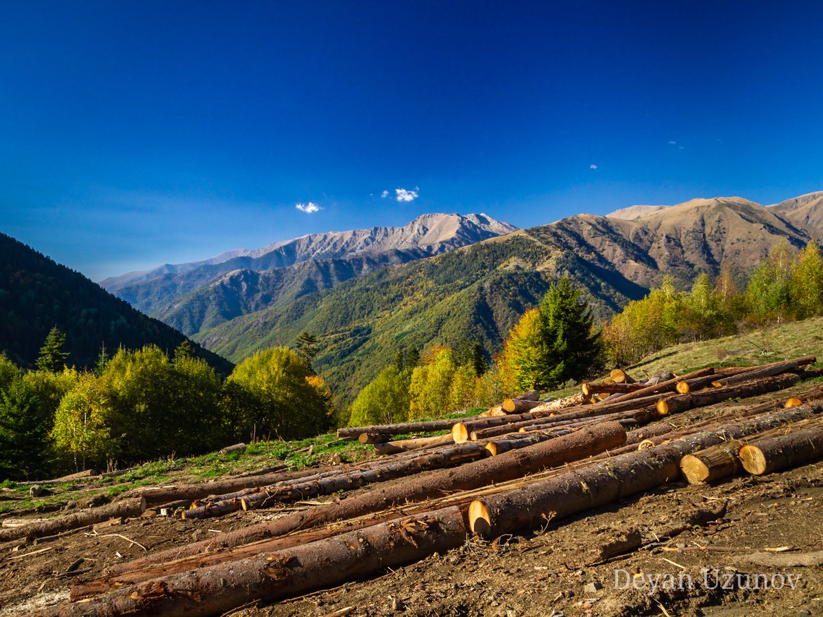 DeyanUzunov's tweet photo. Someday There Will Be Nothing Left
#bulgaria #rilamountain #rila https://t.co/xb3Ra378Jd