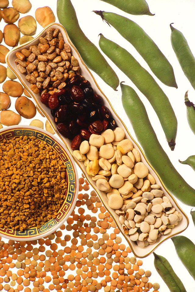 Legumes like lentils - tiny, flying saucer shaped beans, provide iron, a mineral important for learning. Iron helps form healthy red blood cells that deliver oxygen to the brain.
#healthyeating #healthyfood #superfood #healthyliving #healthylifestyle #healthy #brainhealth https://t.co/3CIgg0KQcJ