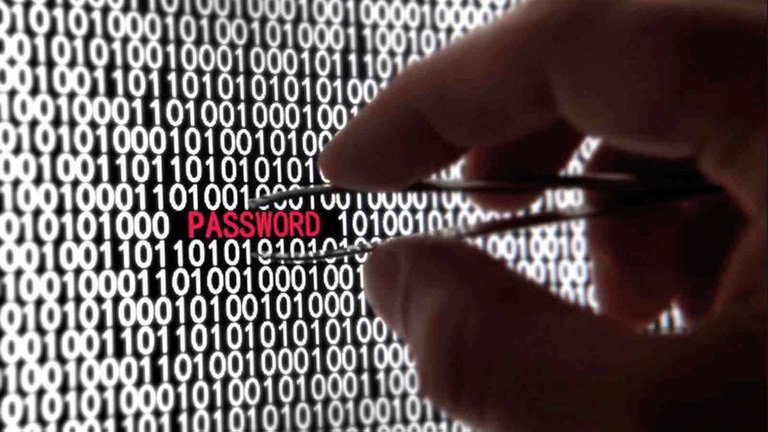 Fundación Karisma tweet media