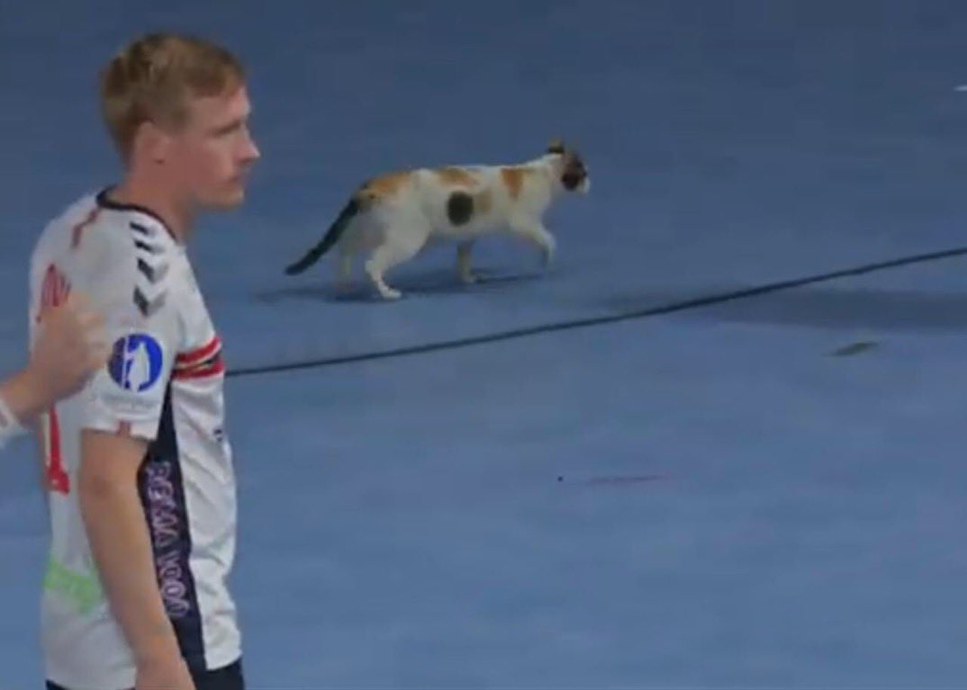 Rasmus Boysen tweet media