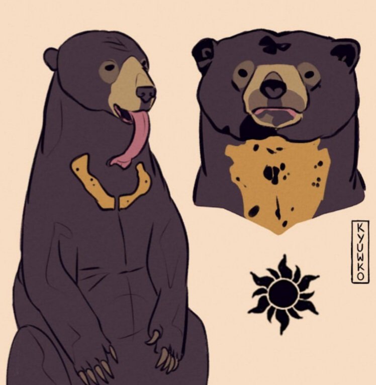RT @kyuwko: sun bears and moon bears are some top tier friend-shaped cryptids https://t.co/OmL54GvLhw