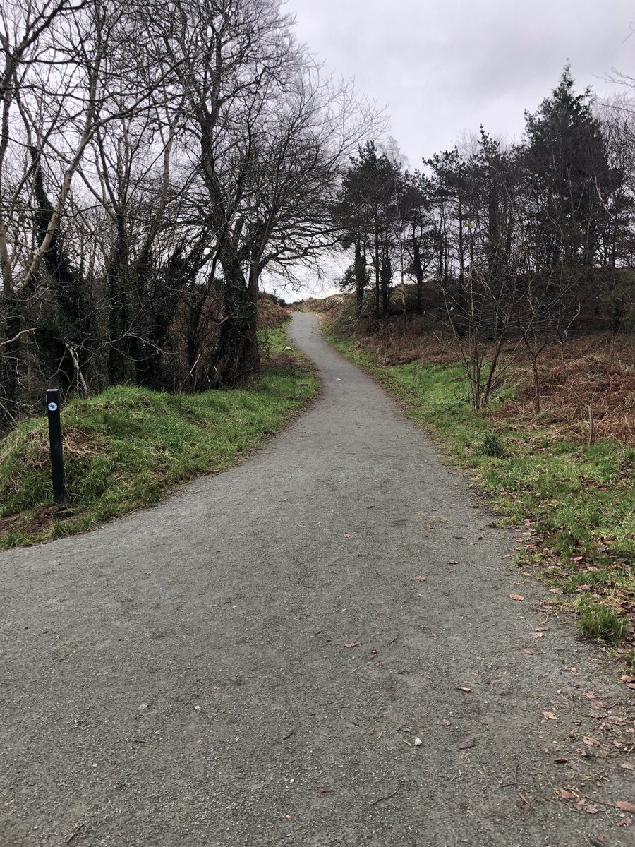 Day 16 #100daysofwalking and the days are just flying by #wexford #therocks #walkingtrails #lockdown3 #5k