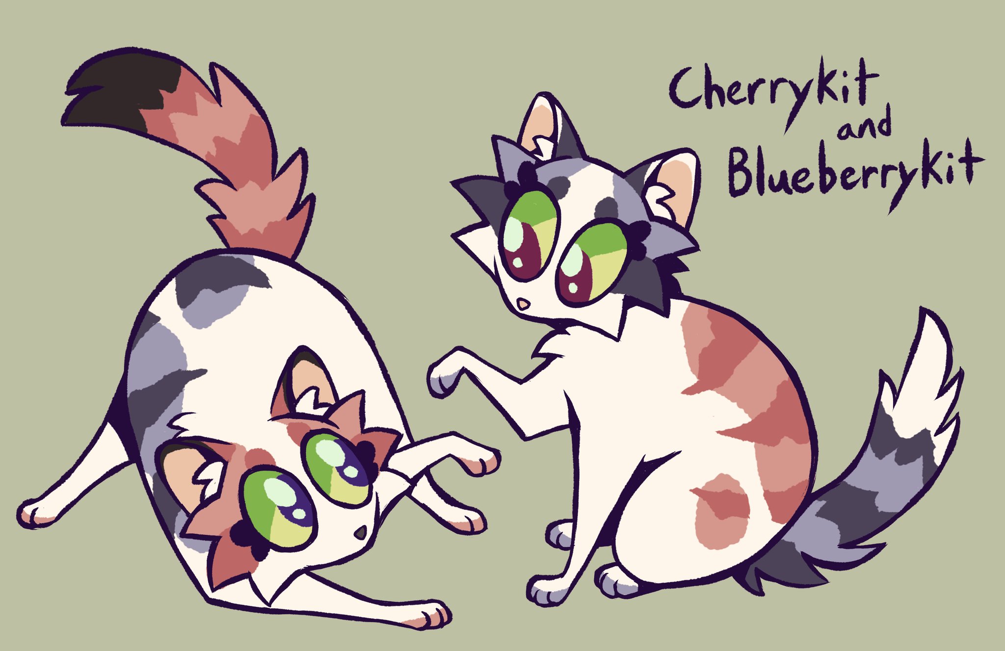Warrior Cats Cherrykit