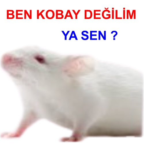 Lütfen herkes ivedi bir şekilde bu resmi facebook twitter instagram profil resmi yapsın arkadaşlar..!