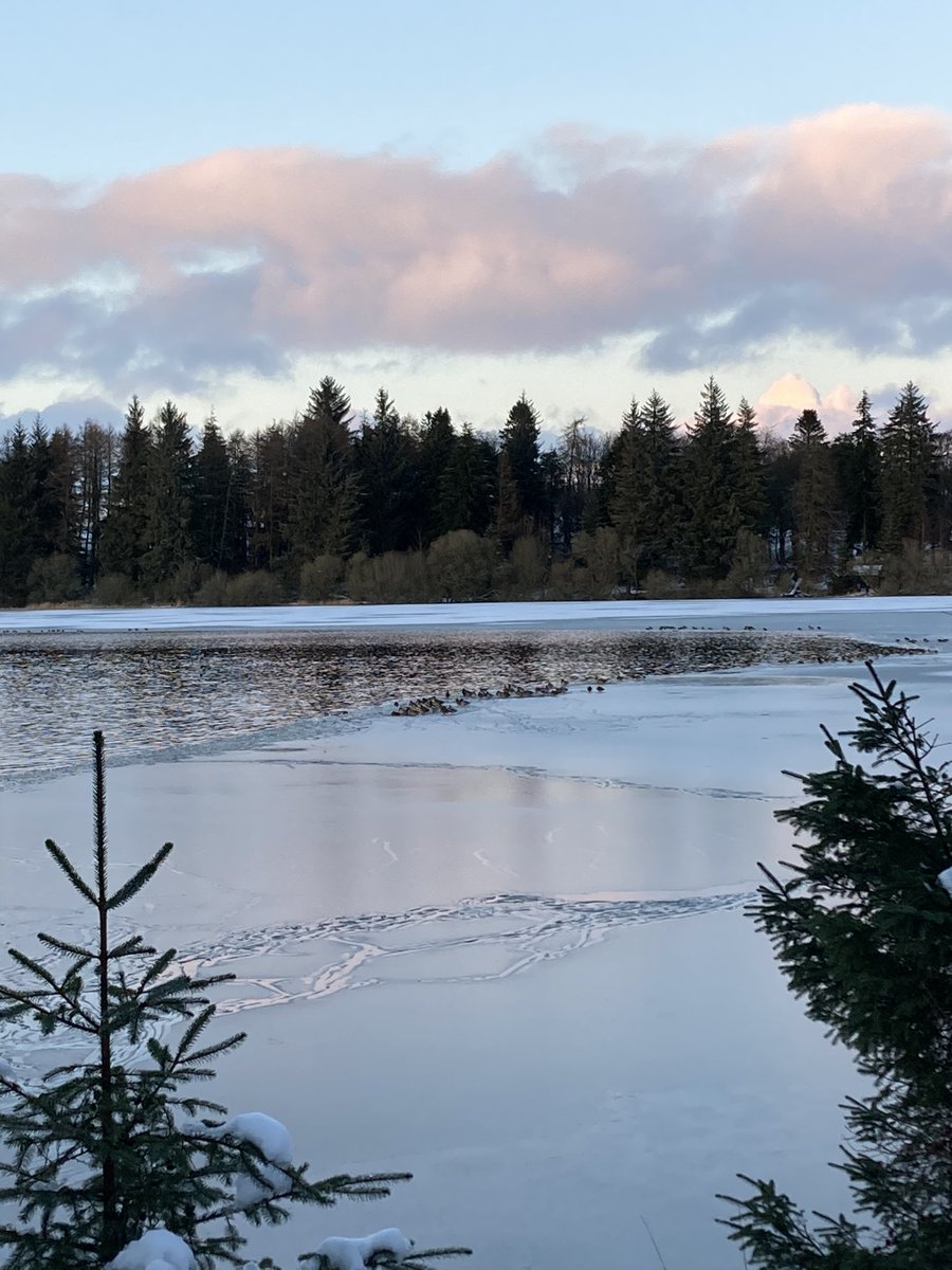 Lintrathen Cycles tweet media