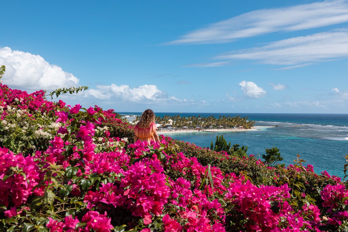 itinera_magica's tweet photo. Balcon sur le turquoise dans un océan de bougainvilliers : on prend de l’avance sur le #lundifleuri en #Guadeloupe ! Douceur en bleu et rose... ces merveilles me manqueront 💕 #Caraïbes #MagnifiqueFrance https://t.co/IMt0tP7kBf
