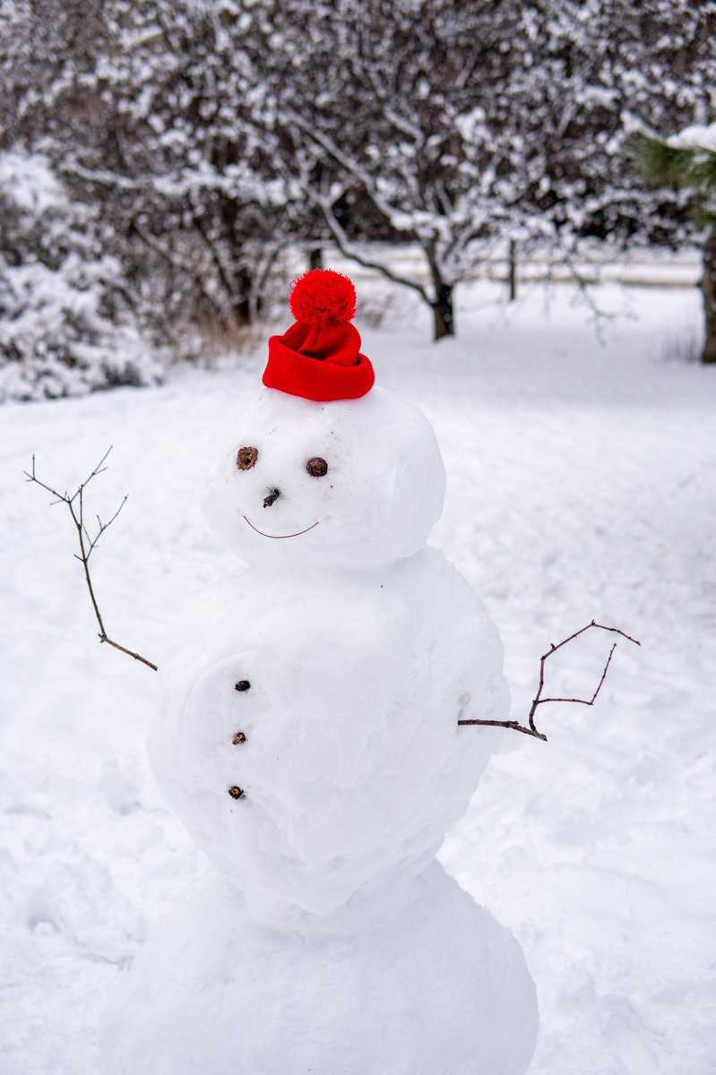 honzybear's tweet photo. Big #ONStorm hit #Ottawa today. No complaints here though. ❄️ https://t.co/Mm6j941wyI