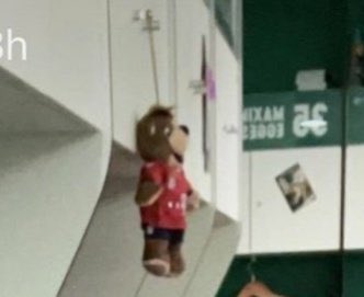 k n o g g a tweet media