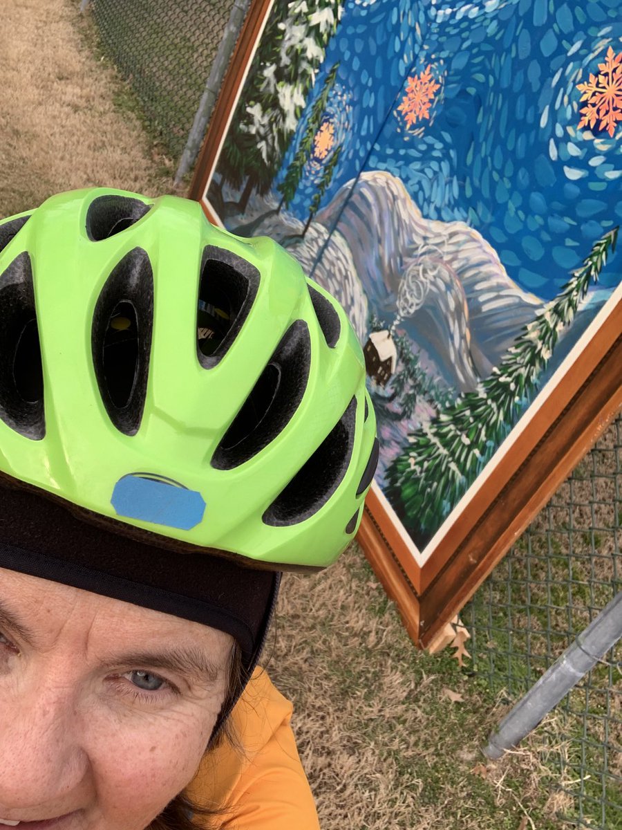 teacherburgos's tweet photo. Enjoying a bike ride and ❄️ artworks at Bluemont Juntion @ArlingtonVA @BikeArlington #CAStastic @Principal_WLHS https://t.co/DHorMy9Qim