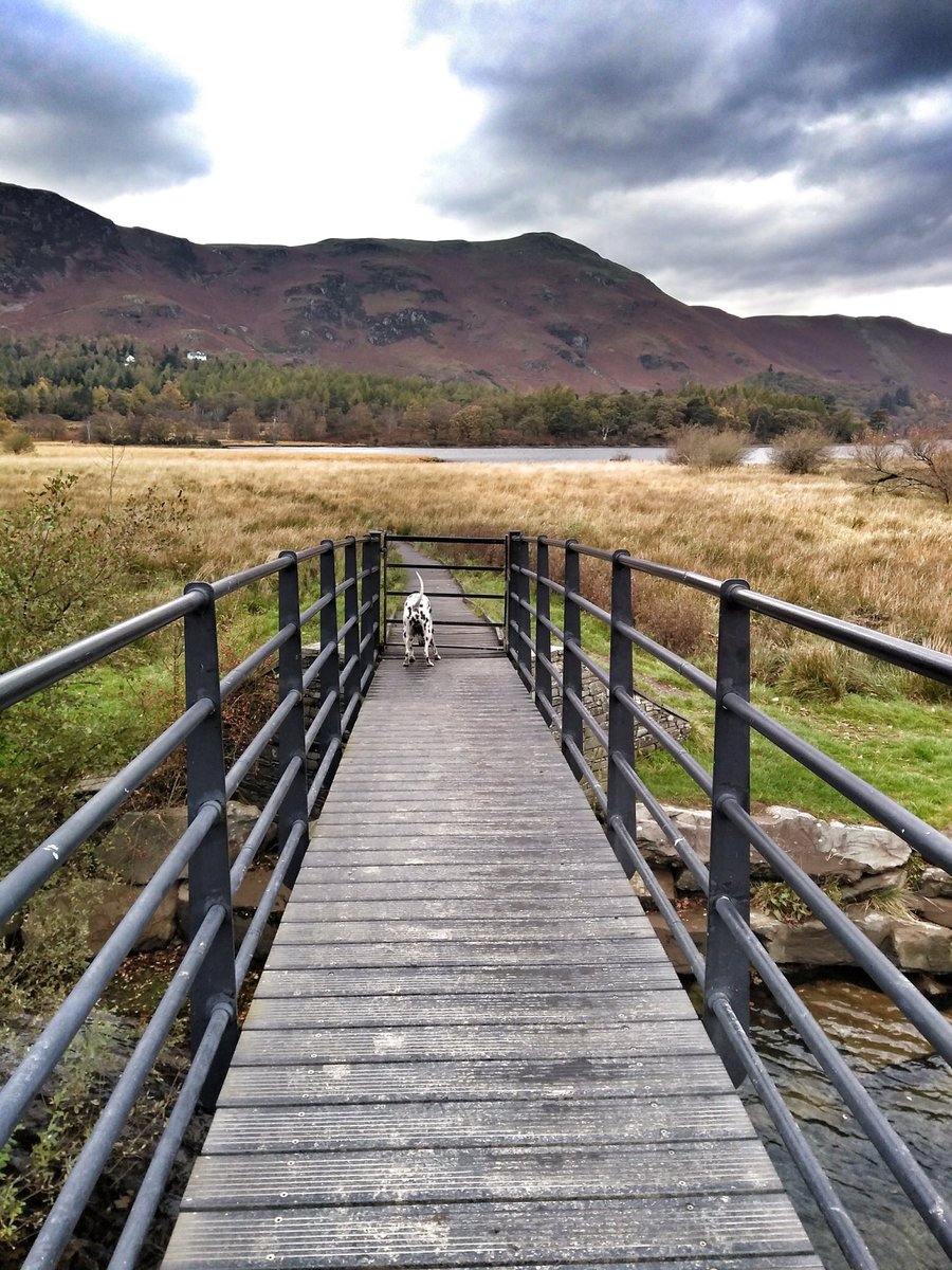 Mumma_Pea's tweet photo. @SlowWaysUK @LondonNPC @LBofHounslow The far side (from Keswick) of Derwentwater https://t.co/B122Ay1SQW