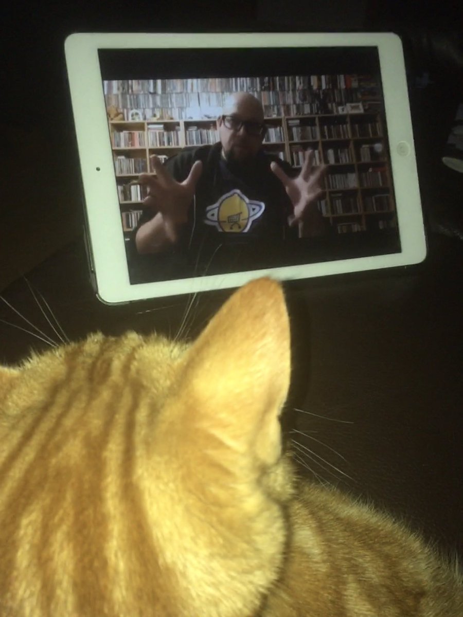 Daveplumber's tweet photo. @iamjurassicmark Good viewing for Cats Too! https://t.co/aIl5SqtOuO