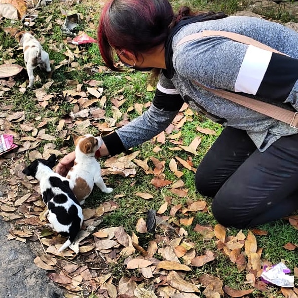 CholNgo's tweet photo. Barks Slobber and love 2
#bondhucholngo #NGO #NGOs #dogs #dogsoftwitter #DOYOUNG #Dog #nonpofit #nongovernmentalorganisation #organizing #StayHome #StayHomeSaveLives #streetdogs #StrayKids #Kolkata #uttarpara #IndiaFightsCorona #india #socialwork #social #community #bondhuchol https://t.co/aur8mz3p9K
