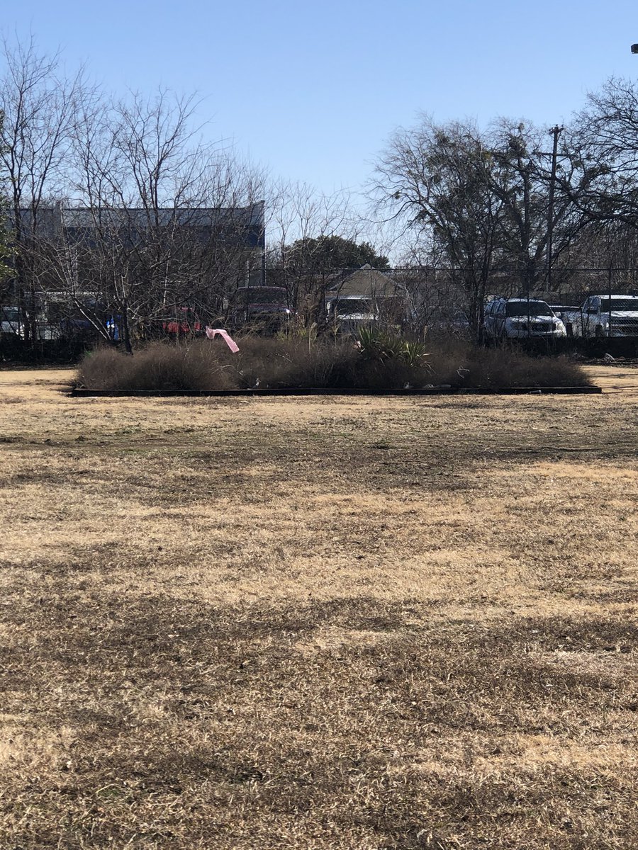 Brandi Romero tweet media