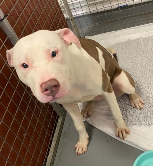 Please retweet .....HAPPY UPDATE !!!
REUNITED, SAFELY HOME
๐๐๐๐๐๐๐๐๐๐๐๐๐๐๐
Thanks to everyone that shared. https://t.co/db44TKRUYO