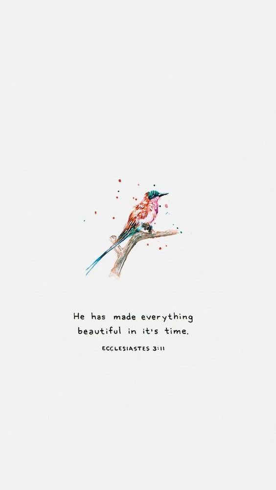 StephLHanley's tweet photo. Be patient and trust in God! #havefaith #GODGOTME #Godoursavior #Trustthelord #greatthingstaketime https://t.co/Y875oNgRm3