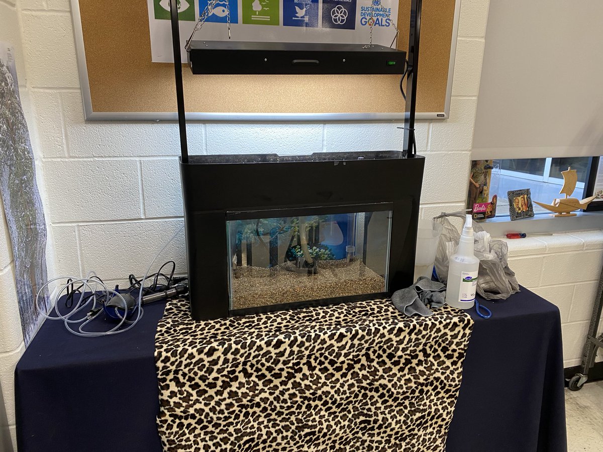 killoughfmhs's tweet photo. My students asked me this week if this class was science or geography, they’re about to learn that #itsALLgeography @FMHS9 @LEFforLISD #weRjustgettingstarted #happyplace #lovemyjob https://t.co/GOSFcwboAH