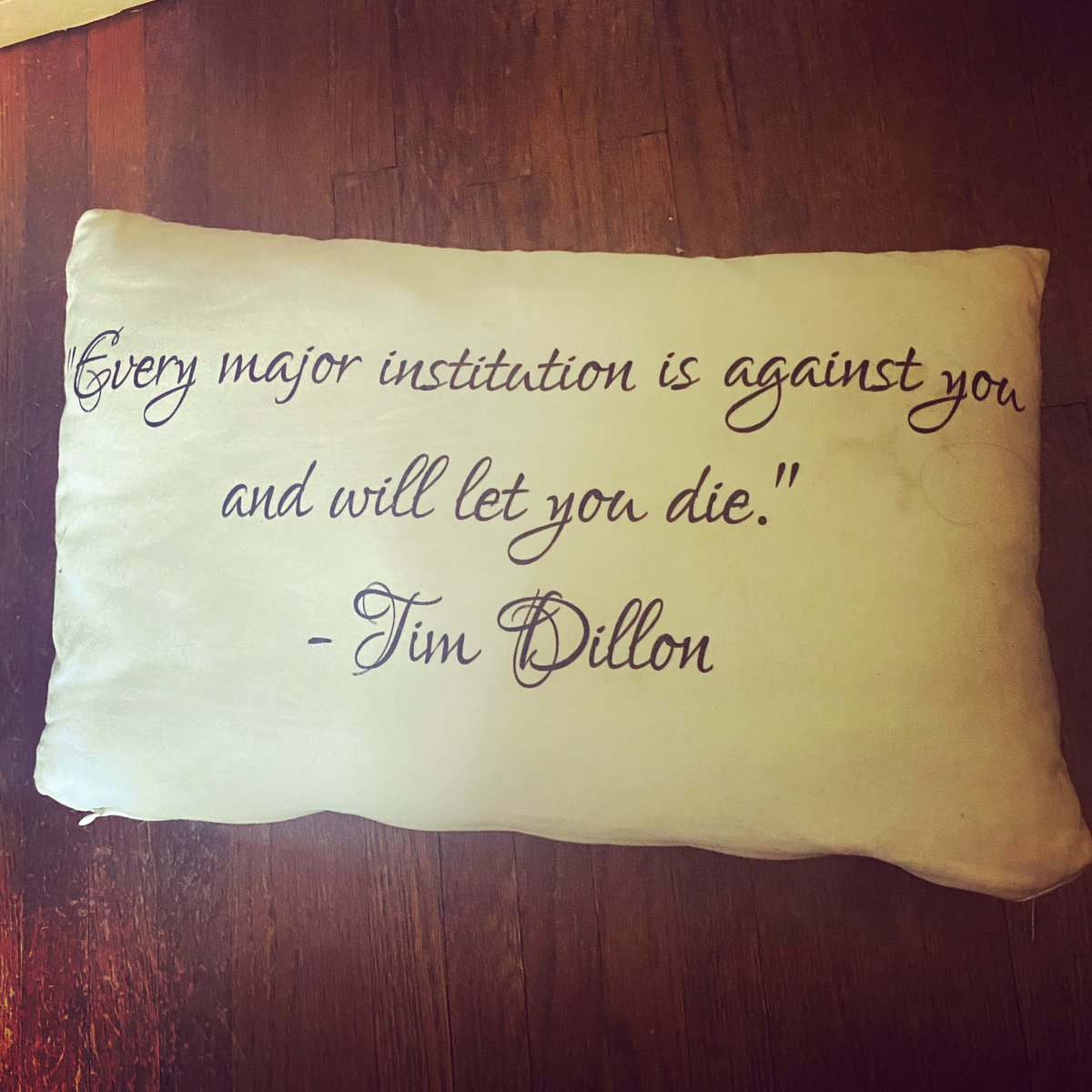 TimJDillon's tweet photo. One of @BridgetPhetasy fans made her this. Beautiful. https://t.co/uZt5y5F6oJ