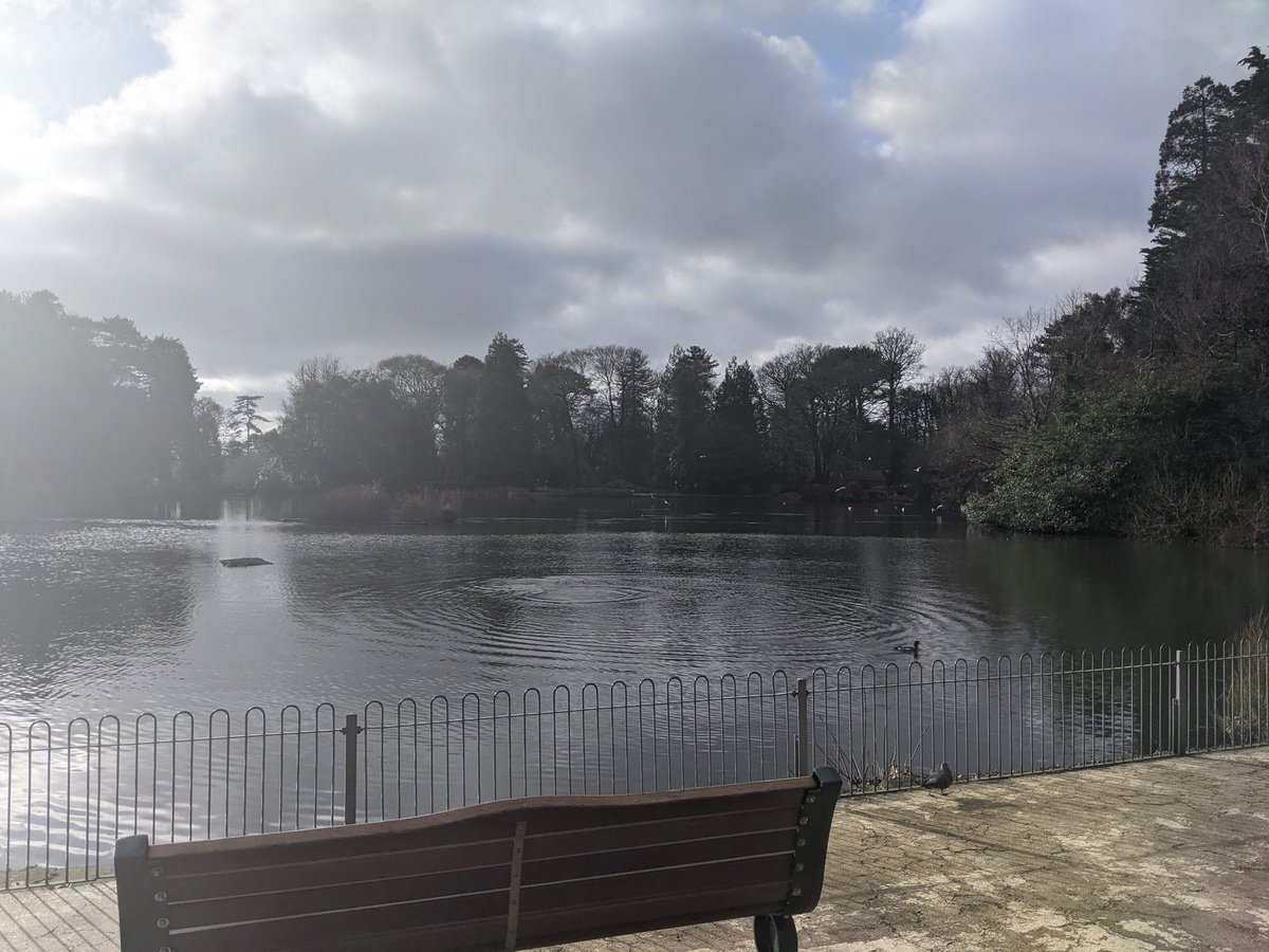 WellbeingScapes's tweet photo. This morning's walk in the sunshine ☀️

#Gardens #Parks 

#Walks #Walking 

#Swansea #BrynmillPark #SwanseaParks 

#Wales #Welsh #Cymru 🏴󠁧󠁢󠁷󠁬󠁳󠁿 #Swansea https://t.co/dMyDXe5JZ9