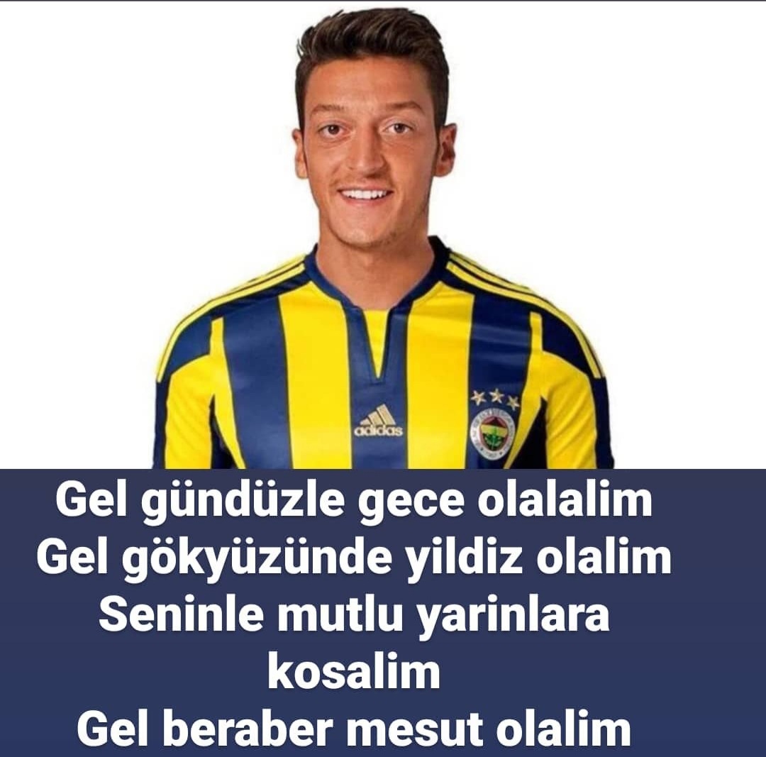 arslan_gven's tweet photo. #FenerbahceMESUToluyor https://t.co/XdqdVpF3QN