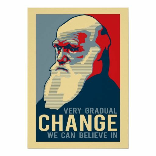 the_humanist_B's tweet image. #evolutionisafact