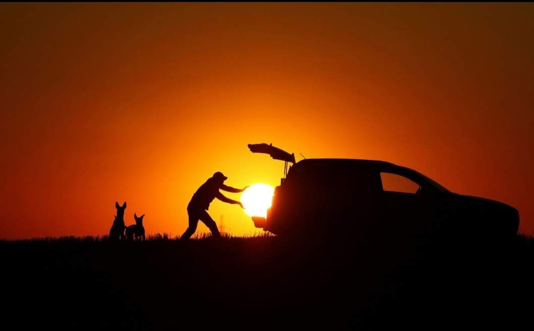 Protect_Wldlife's tweet photo. There's photography then there's a perfectly timed photographic story. https://t.co/cYiKKJ2kEE