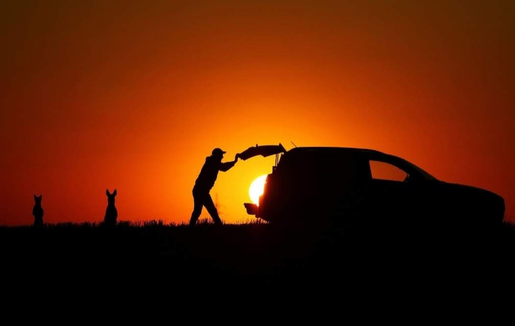 Protect_Wldlife's tweet photo. There's photography then there's a perfectly timed photographic story. https://t.co/cYiKKJ2kEE