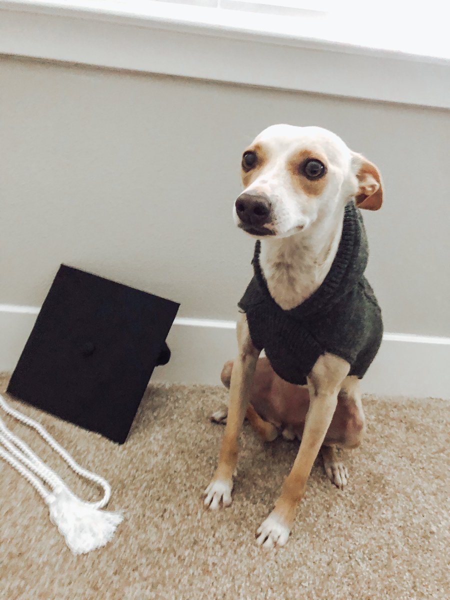 Celebrating the little things 🎓🥺💕