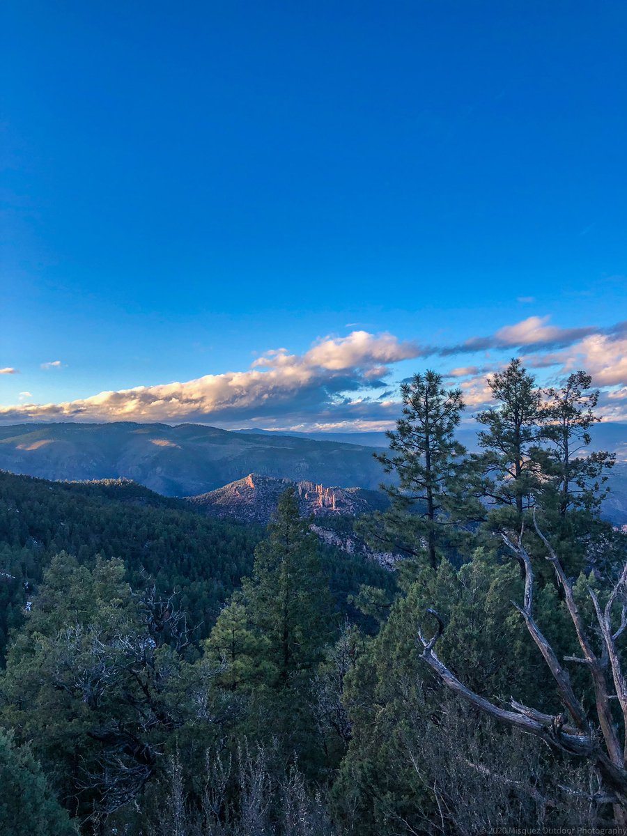 Homeward. Gila National Forest, New Mexico. #NewMexicoTRUE #gilanationalforest #home