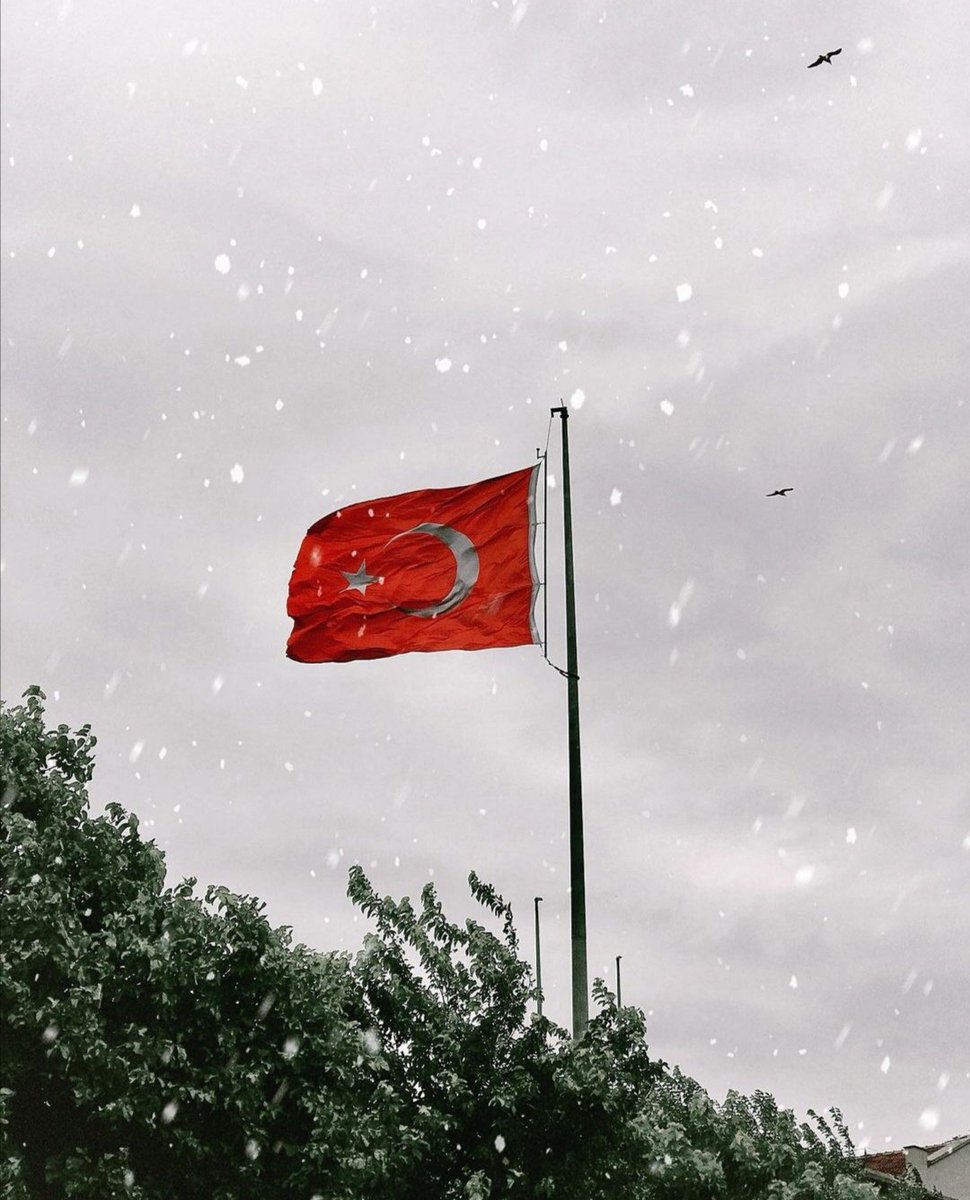 omerbaydogan40's tweet photo. "Onlar Ülke, Sen Vatansın.." https://t.co/ynpwg89G4a