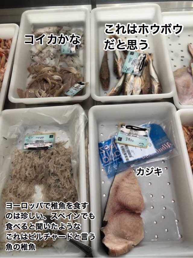 プリヒル姉さん ロンドン魚屋 イタリア イギリスと海域が違うのと 地中海からのお魚があるのか種類が豊富ですね T Co Byaoxtjwpe Twitter