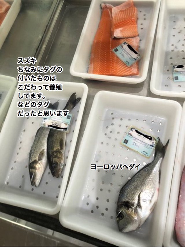 プリヒル姉さん ロンドン魚屋 イタリア イギリスと海域が違うのと 地中海からのお魚があるのか種類が豊富ですね T Co Byaoxtjwpe Twitter