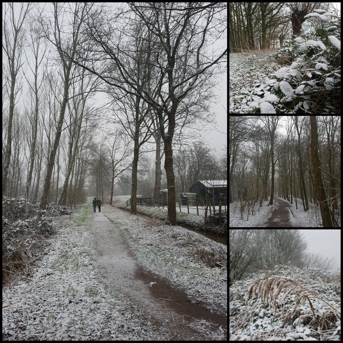 Nu nog individueel maar binnenkort gaan we ook groepswandelen bij de Nootdorpse ijsclub.