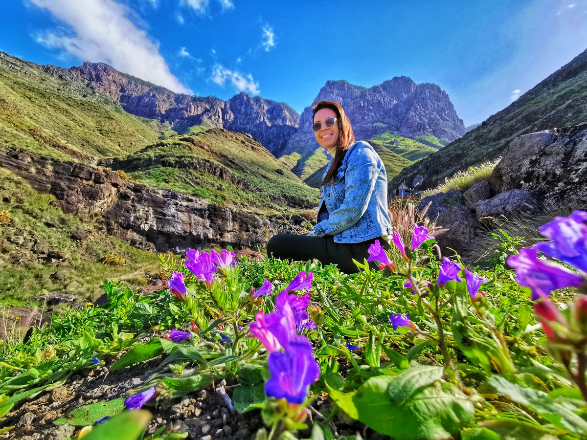 Dacil_Santana's tweet photo. Allí donde siempre es primavera🌼
.
.
.
#grancanaria
#guayedra
#alsurdeeuropa https://t.co/rIR3uOfBzu