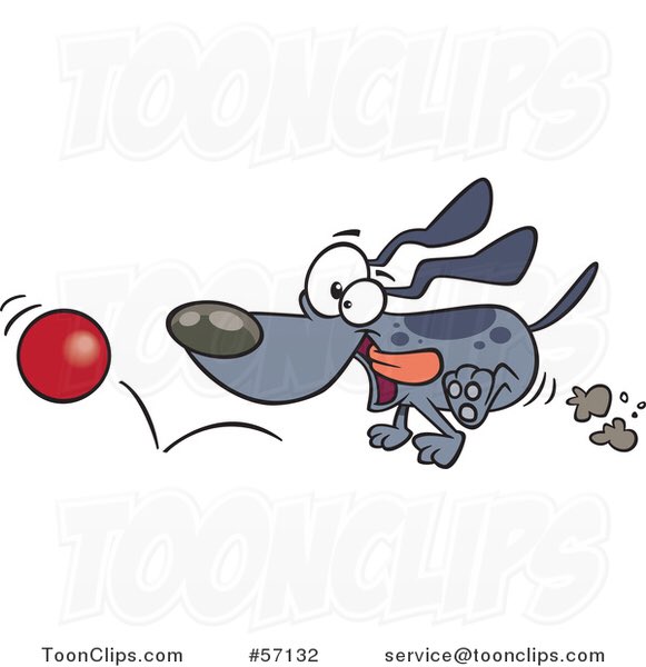 Andrew McLean tweet media