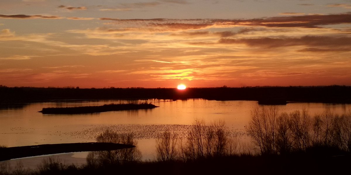 xcollgi's tweet photo. Plàcida #postadesol avui 16gen'21 a l'estany d'Ivars de i Vila-sana #ivarsdurgell  #estanyivarsvilasana #pladurgell @aralleida #eltempstv3 @ARAmeteo @btveltemps @SEGREcom @eliseuvilaclara @vw_mollerussa @ccplaurgell  @AlfredRPico @IvarsAjuntament @ivarseja https://t.co/qS2OGNmrM3