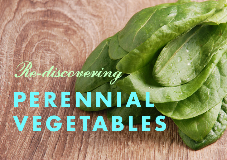 GOOD REASONS TO GROW PERENNIAL VEGETABLES facebook.com/theseedguy/  Seed Guy Non GMO Heirloom Seed Packages From 2020 Harvest   theseedguy.net/15-seed-packag… …   #seeds #gardening #preppers